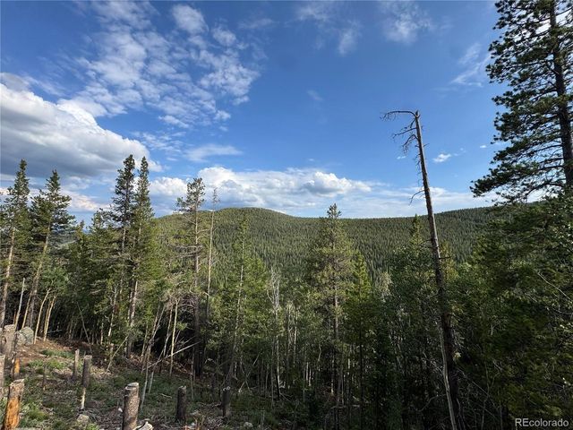 0 Loch Lomond Rd, Idaho Springs, CO 80452