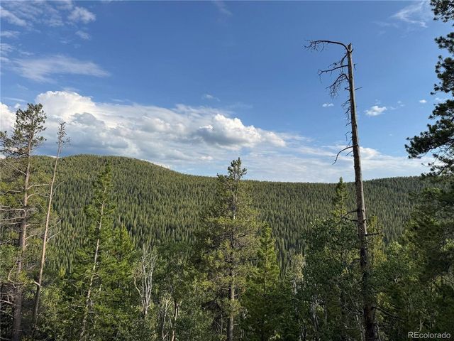 0 Loch Lomond Rd, Idaho Springs, CO 80452