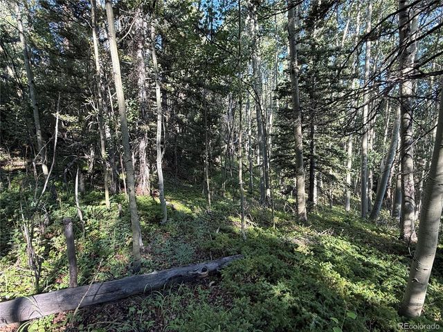 Lot 5331 Hull Road, Fort Garland, CO 81133