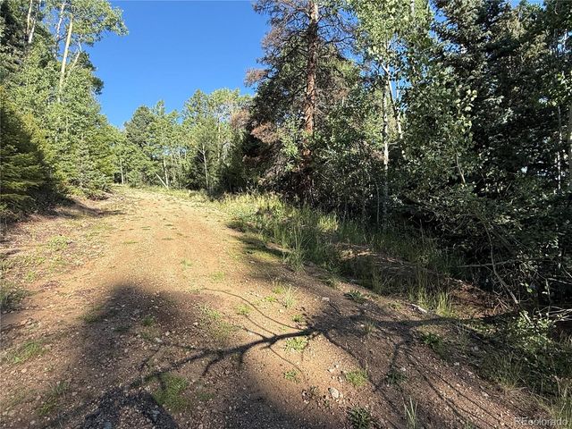 Lot 5331 Hull Road, Fort Garland, CO 81133