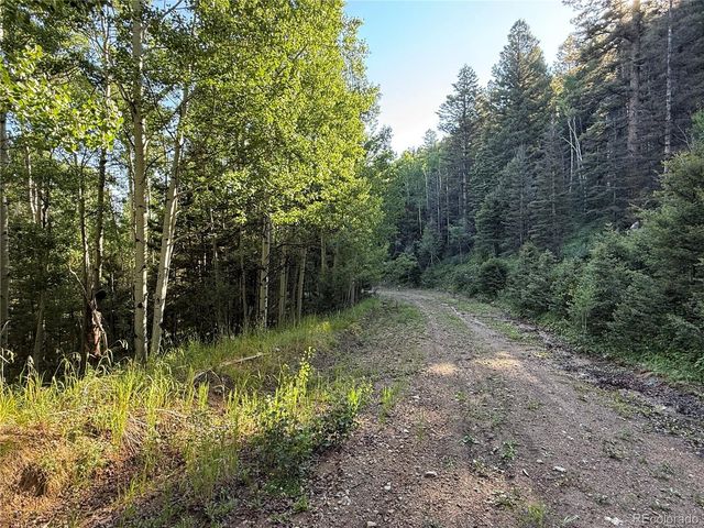 Lot 5331 Hull Road, Fort Garland, CO 81133