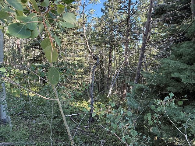 Lot 5331 Hull Road, Fort Garland, CO 81133