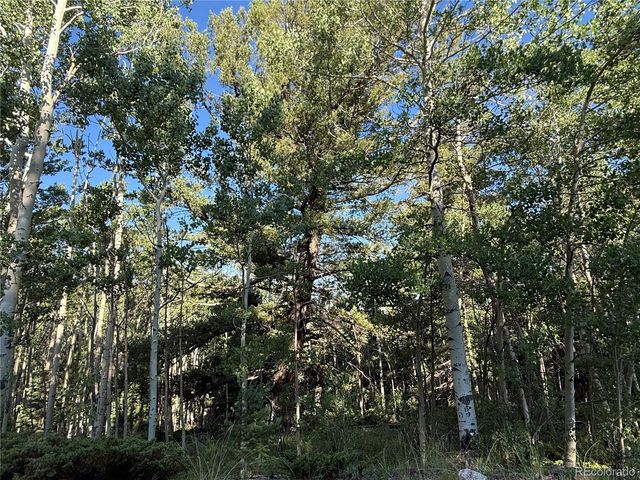 Lot 5331 Hull Road, Fort Garland, CO 81133