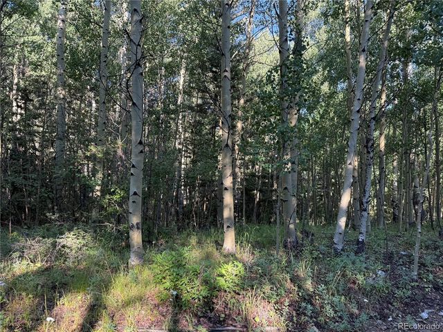 Lot 5331 Hull Road, Fort Garland, CO 81133