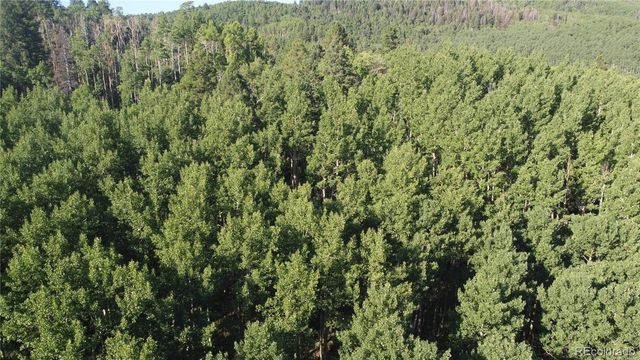 Lot 5331 Hull Road, Fort Garland, CO 81133