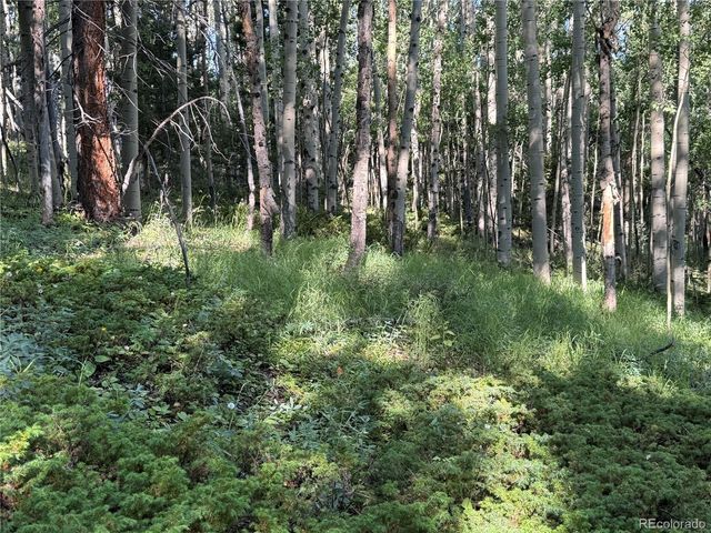 Lot 5331 Hull Road, Fort Garland, CO 81133