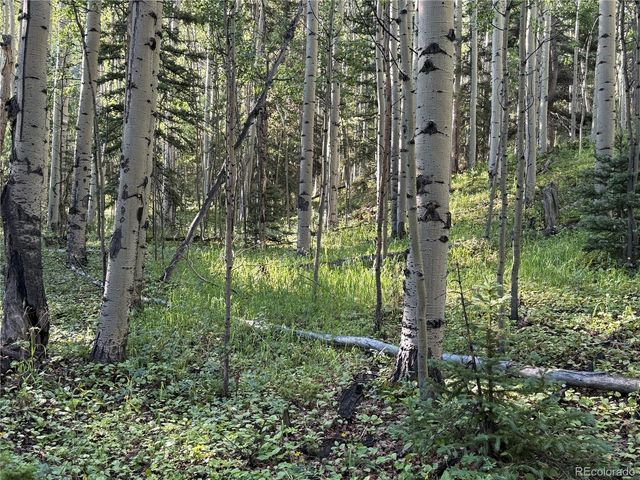 Lot 5331 Hull Road, Fort Garland, CO 81133