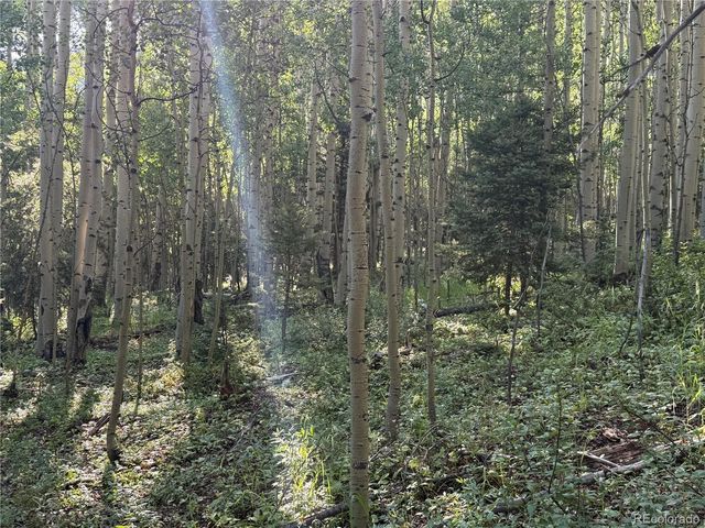 Lot 5331 Hull Road, Fort Garland, CO 81133