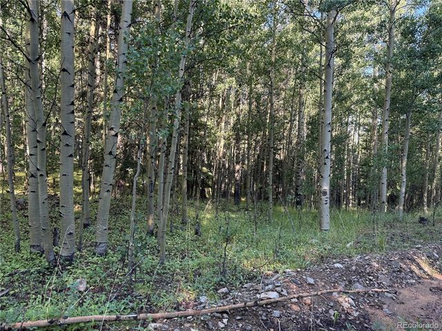 Lot 5331 Hull Road, Fort Garland, CO 81133