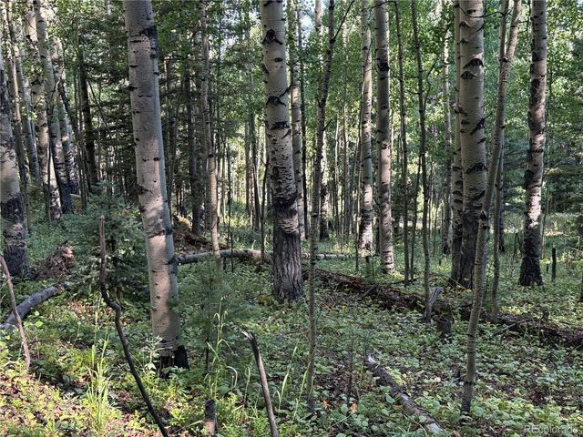 Lot 5331 Hull Road, Fort Garland, CO 81133