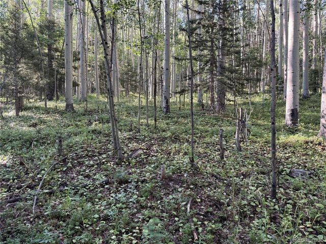 Lot 5331 Hull Road, Fort Garland, CO 81133