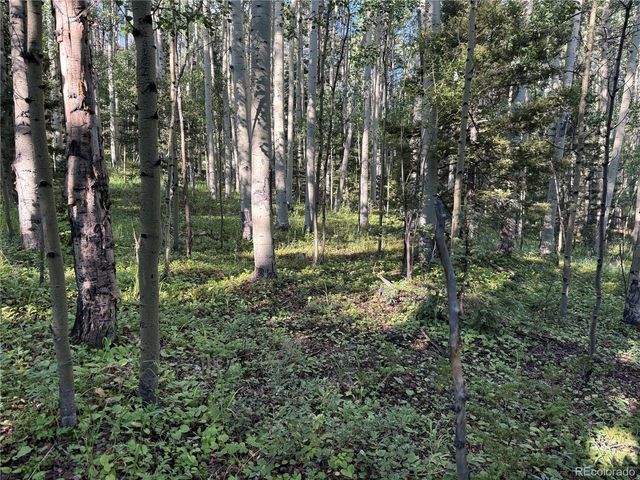 Lot 5331 Hull Road, Fort Garland, CO 81133