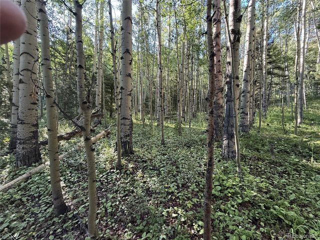 Lot 5331 Hull Road, Fort Garland, CO 81133