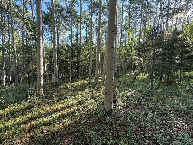 Lot 5331 Hull Road, Fort Garland, CO 81133