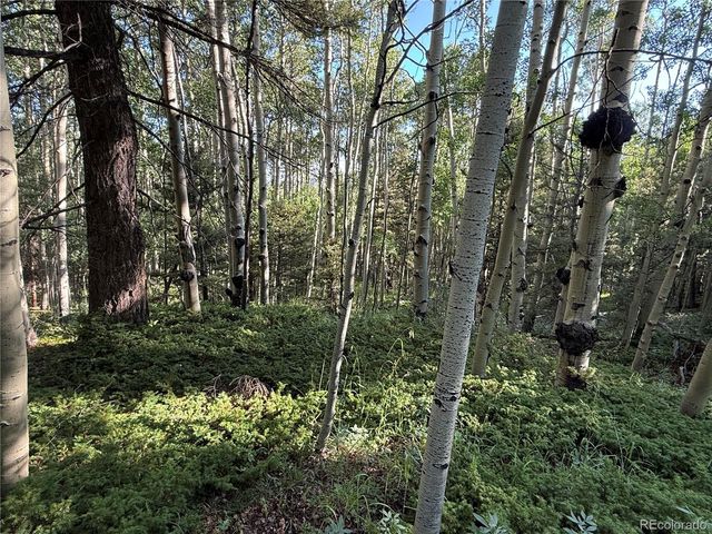 Lot 5331 Hull Road, Fort Garland, CO 81133