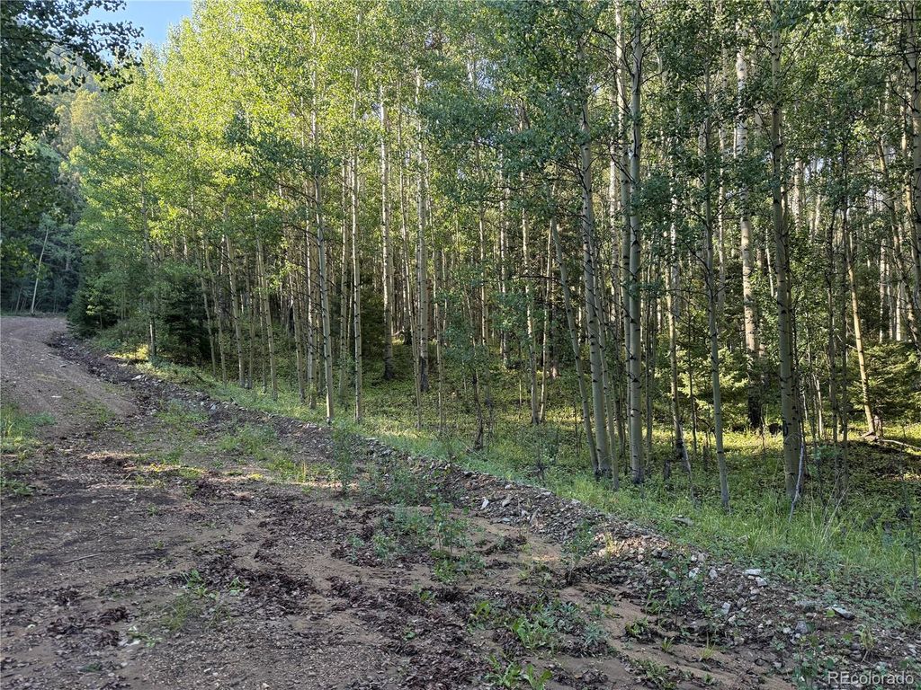 Lot 5331 Hull Road, Fort Garland, CO 81133