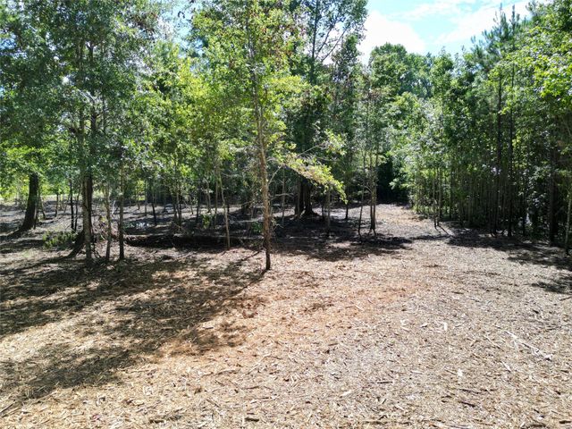 000 Red Oak Drive, Plantersville, TX 77363