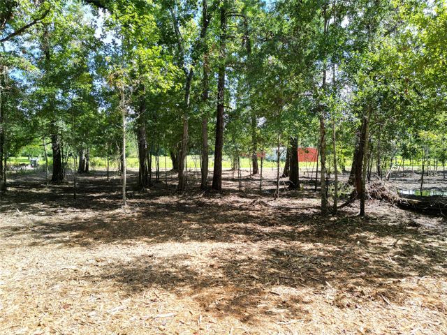 000 Red Oak Drive, Plantersville, TX 77363