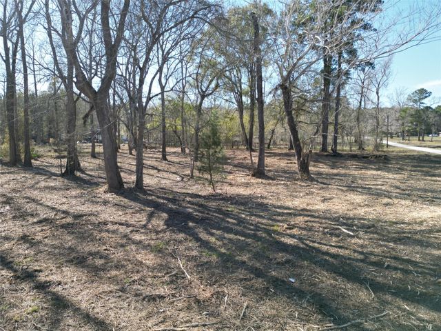 000 Red Oak Drive, Plantersville, TX 77363