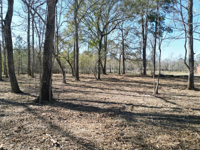 000 Red Oak Drive, Plantersville, TX 77363