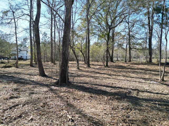 000 Red Oak Drive, Plantersville, TX 77363