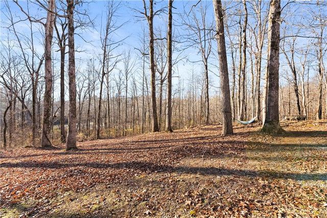 175 Blacks Mill Court, Dawsonville, GA 30534