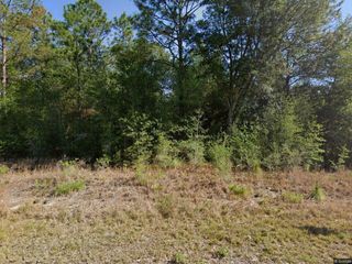 20313 SW Audubon Avenue, Dunnellon, FL 34431