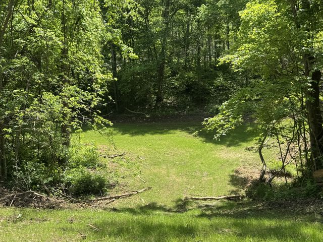 0 Cub Creek Rd, Indian Mound, TN 37079