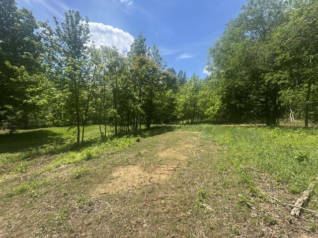 0 Cub Creek Rd, Indian Mound, TN 37079