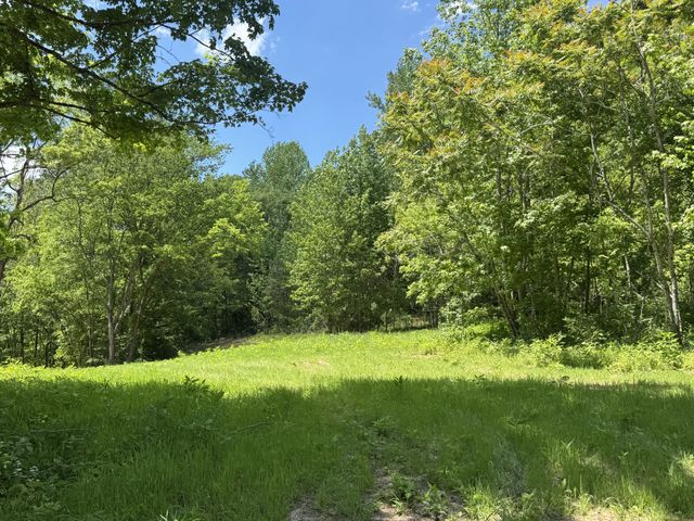 0 Cub Creek Rd, Indian Mound, TN 37079