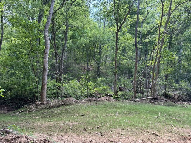0 Cub Creek Rd, Indian Mound, TN 37079