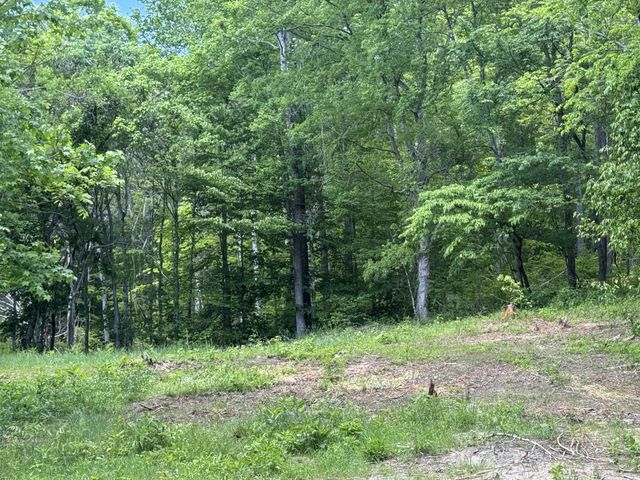 0 Cub Creek Rd, Indian Mound, TN 37079
