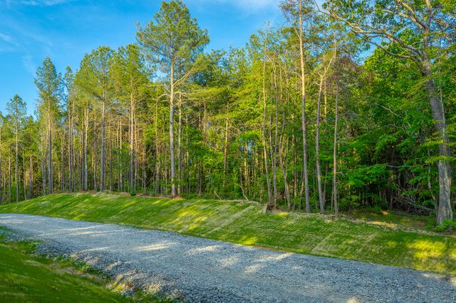 0 Cannon Way Lot 1317, Guild, TN 37340