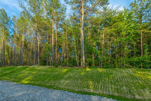 0 Cannon Way Lot 1317, Guild, TN 37340