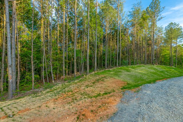 0 Cannon Way Lot 1317, Guild, TN 37340