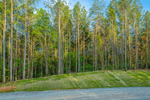 0 Cannon Way Lot 1317, Guild, TN 37340