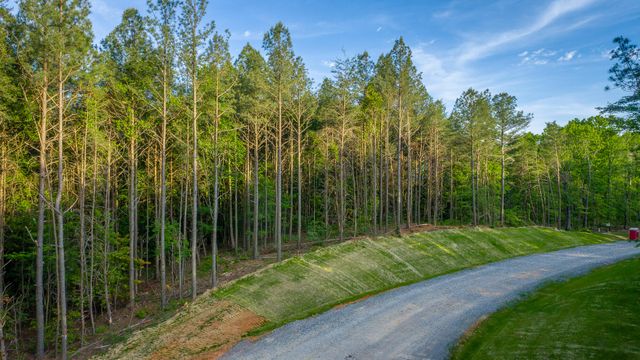 0 Cannon Way Lot 1317, Guild, TN 37340