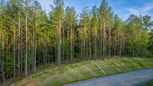 0 Cannon Way Lot 1317, Guild, TN 37340