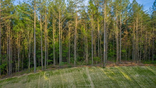 0 Cannon Way Lot 1317, Guild, TN 37340