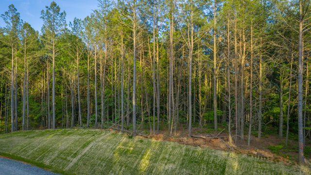 0 Cannon Way Lot 1317, Guild, TN 37340
