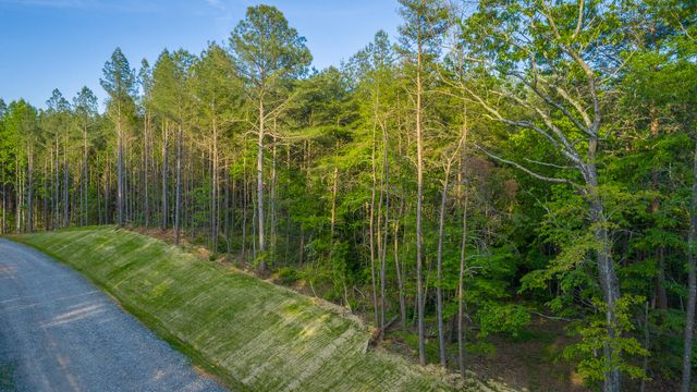 0 Cannon Way Lot 1317, Guild, TN 37340