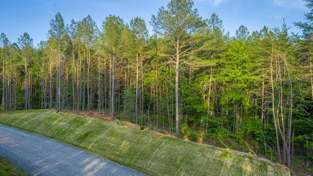 0 Cannon Way Lot 1317, Guild, TN 37340