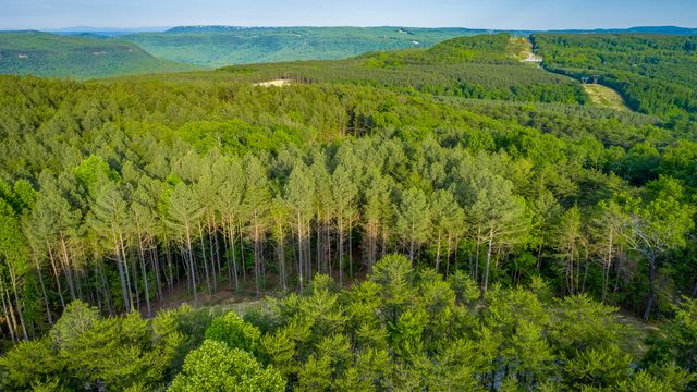 0 Cannon Way Lot 1317, Guild, TN 37340