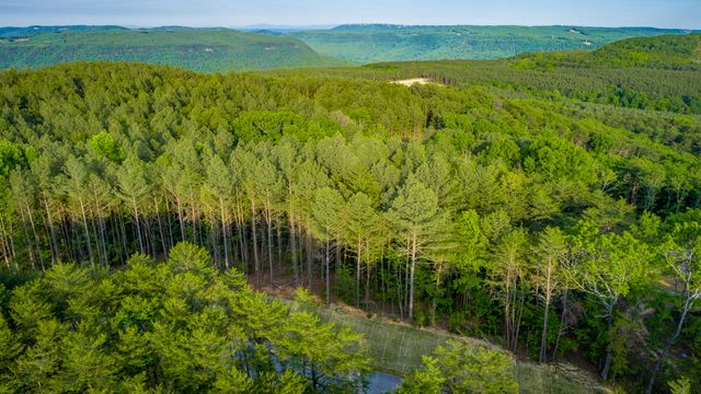 0 Cannon Way Lot 1317, Guild, TN 37340