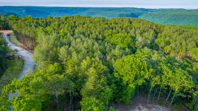 0 Cannon Way Lot 1317, Guild, TN 37340
