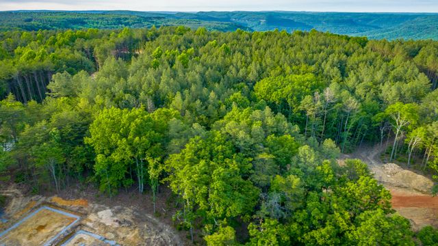 0 Cannon Way Lot 1317, Guild, TN 37340