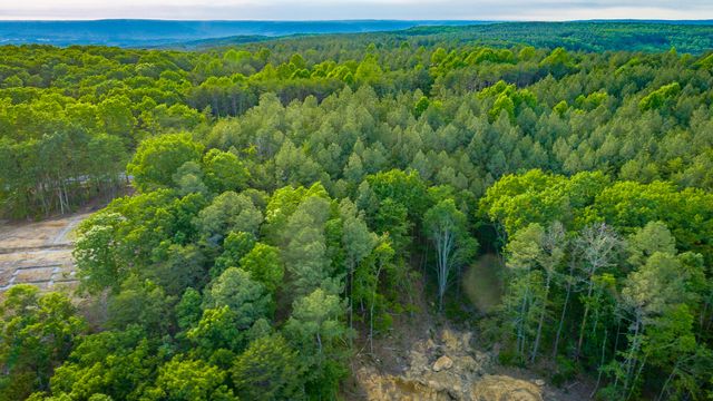 0 Cannon Way Lot 1317, Guild, TN 37340