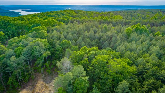 0 Cannon Way Lot 1317, Guild, TN 37340