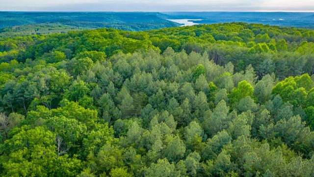 0 Cannon Way Lot 1317, Guild, TN 37340