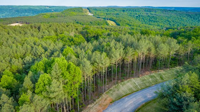 0 Cannon Way Lot 1317, Guild, TN 37340